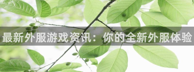 蓝冠娱乐平台官网客服电话：最新外服游戏资讯：你的全新外服体验