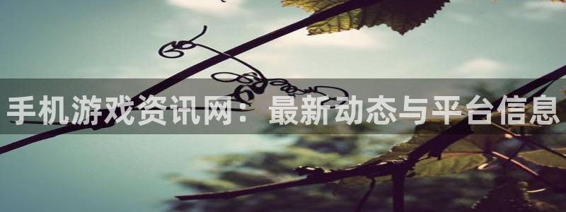 蓝冠娱乐下载：手机游戏资讯网：最新动态与平台信息