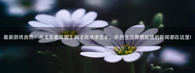 蓝冠娱乐升级5994月：最新游戏资讯：从《王者荣耀》到《绝地