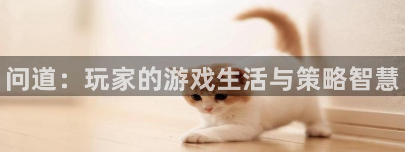 蓝冠娱乐4开户：问道：玩家的游戏生活与策略智慧