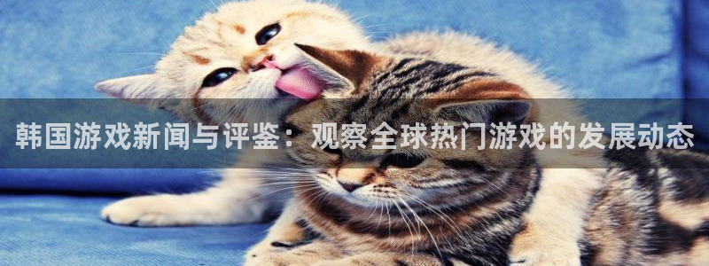蓝冠娱乐平台注册：韩国游戏新闻与评鉴：观察全球热门游戏的发展