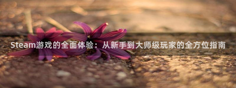 蓝冠娱乐平台官网客服电话：Steam游戏的全面体验：从新手到