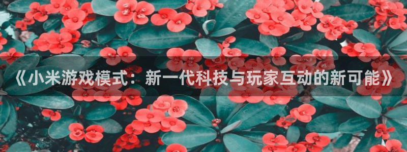 蓝冠娱乐登录:《小米游戏模式:新一代科技与玩家互动的新可能》