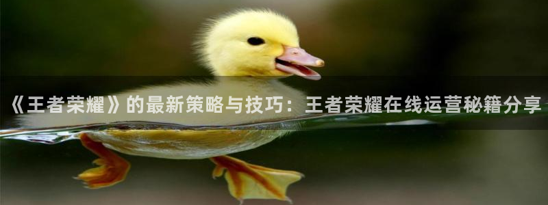 蓝冠娱乐注册登录平台:《王者荣耀》的最新策略与技巧:王者荣耀
