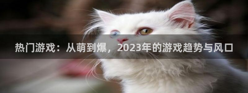 蓝冠娱乐登陆地址：热门游戏：从萌到爆，2023年的游戏趋势与